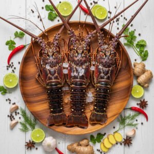 Lobster (లాబ్‌స్టర్)