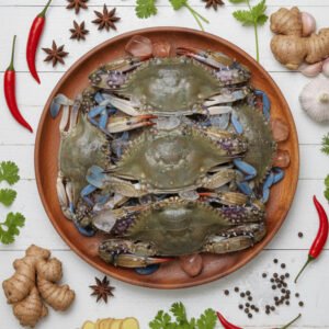 Mud Crab