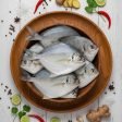 White Pomfret (తెల్ల చందువ)
