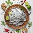 White snapper (గొరక చేప)